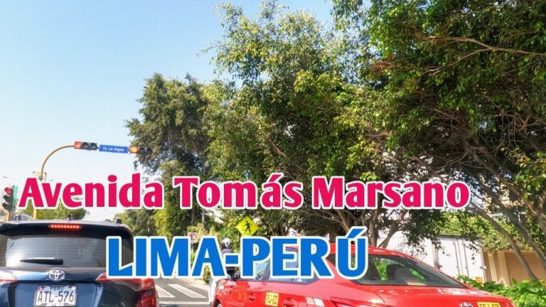 Todo lo que necesitas saber sobre Av. Tomás Marsano 242, Surquillo 15048 en Perú: trámites, información y ubicación