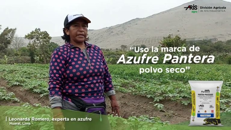Todo lo que necesitas saber sobre el trámite de la Azufre Pantera en Perú