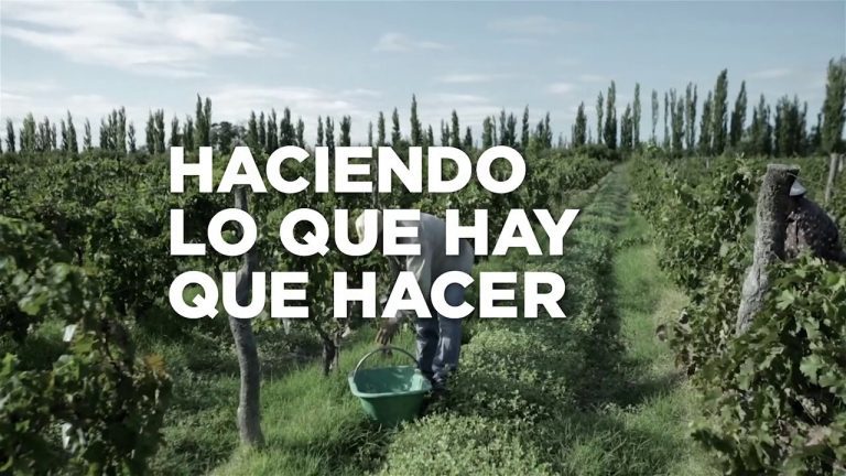 Descubre los beneficios laborales en Perú que debes conocer para proteger a tus trabajadores