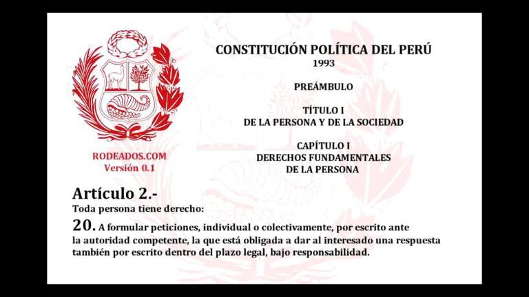 Capítulo 1 de la Constitución Política del Perú: Todo lo que necesitas saber para trámites en Perú
