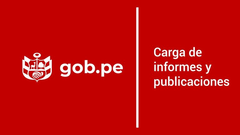 Guía completa: Cómo utilizar el portal del cdn.gob.pe para trámites en Perú