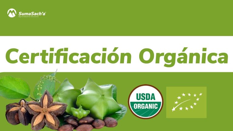 Guía completa para obtener la certificación orgánica en Perú: requisitos, procesos y beneficios