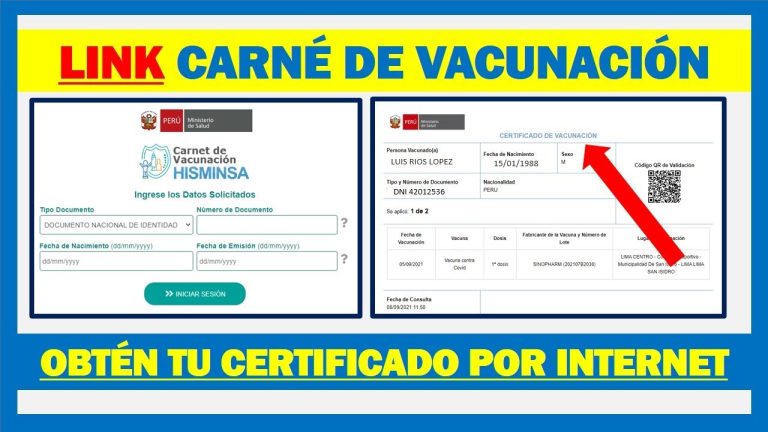 Todo lo que necesitas saber sobre el certificado MINSA en Perú: requisitos, trámite y validez