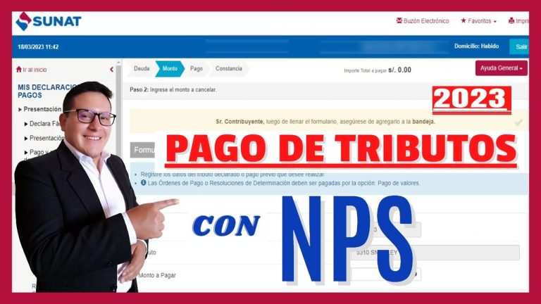 Todo lo que necesitas saber sobre el código de tributo para la renta anual de persona natural en Perú