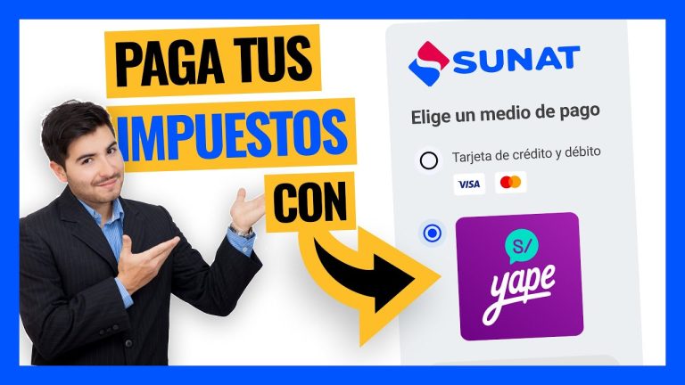 Descubre paso a paso cómo pagar Sunat por internet: Guía completa para trámites en Perú
