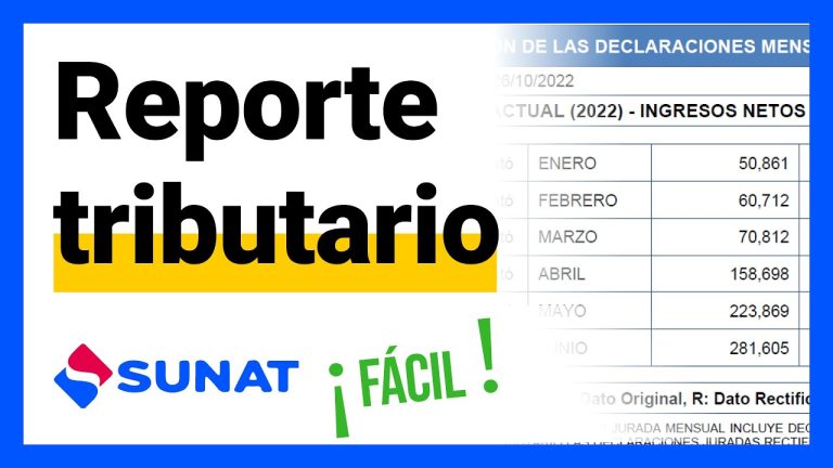 Guía paso a paso: Cómo sacar el reporte tributario de SUNAT en Perú