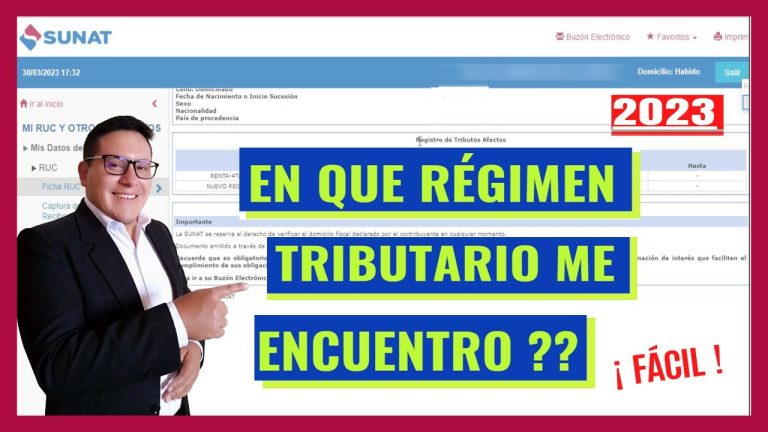 Guía completa: Cómo ver el régimen tributario de una empresa en Perú ¡Paso a paso!