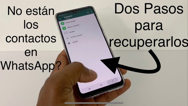 Todo lo que necesitas saber sobre contactos de WhatsApp para trámites en Perú