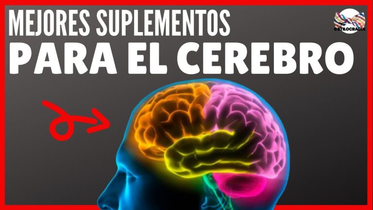 Trámites en Perú: Todo lo Que Necesitas Saber Sobre la Apostilla de Documentos en el Proceso Cordial Cerebral