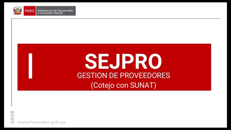 Todo lo que necesitas saber sobre el cotejo Sunat: Guía completa para trámites en Perú