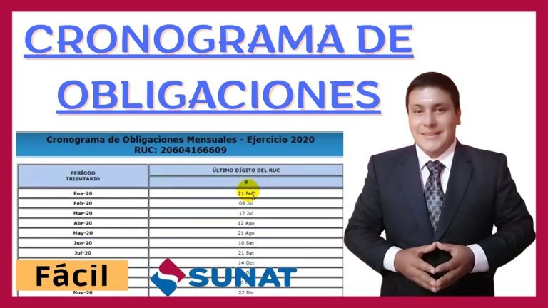 Todo lo que necesitas saber sobre el cronograma Sunat personalizado en Perú: ¡Haz tus trámites con éxito!