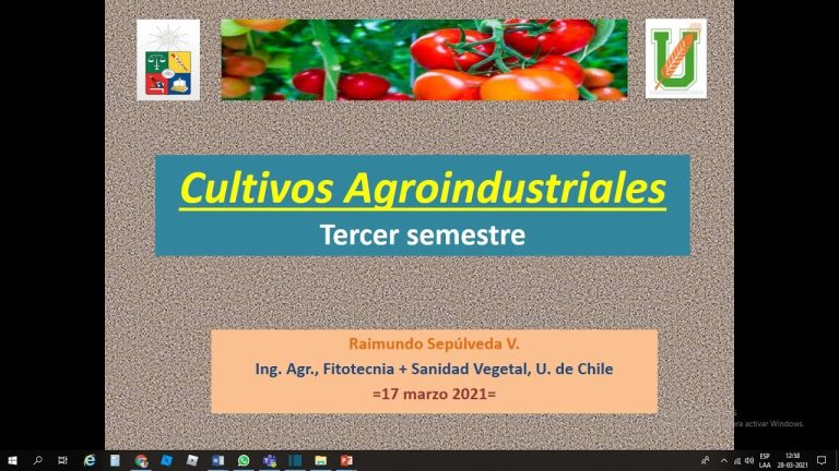 Guía completa para tramitar cultivos agroindustriales en Perú: requisitos, procedimientos y consejos