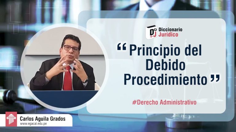 Guía paso a paso: ¿Cuál es el debido procedimiento administrativo en Perú?