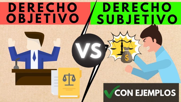 Derecho mixto en Perú: Todo lo que necesitas saber para trámites legales