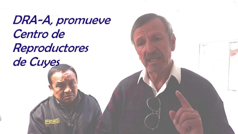 Dirección Regional de Agricultura Ancash: Trámites, Requisitos y Contacto en Perú
