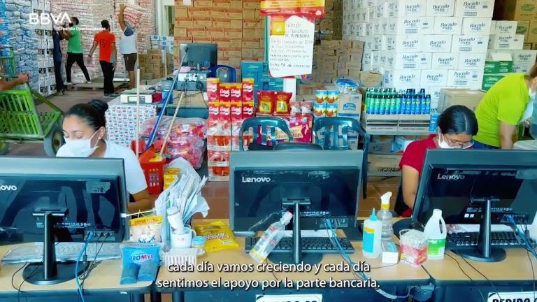 Distribuidora Dario en Perú: Todo lo que necesitas saber sobre trámites y servicios