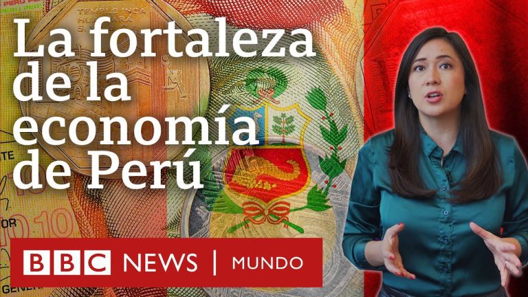 Todo lo que necesitas saber sobre la economía peruana: trámites e información clave en un solo lugar