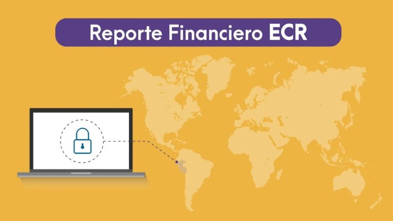Todo lo que necesitas saber sobre los Estados Financieros según la SUNAT: trámites claros y precisos en Perú