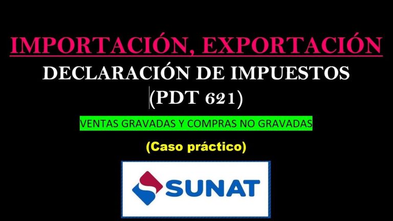 Todo lo que necesitas saber sobre la factura de importación SUNAT en Perú: guía paso a paso