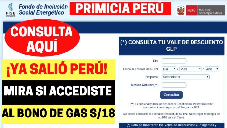 Todo lo que necesitas saber sobre FISE Gob pe: Trámites y requisitos en Perú