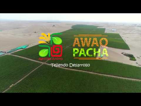 Guía completa para conseguir un fondo agrícola: Trámites y requisitos en Perú