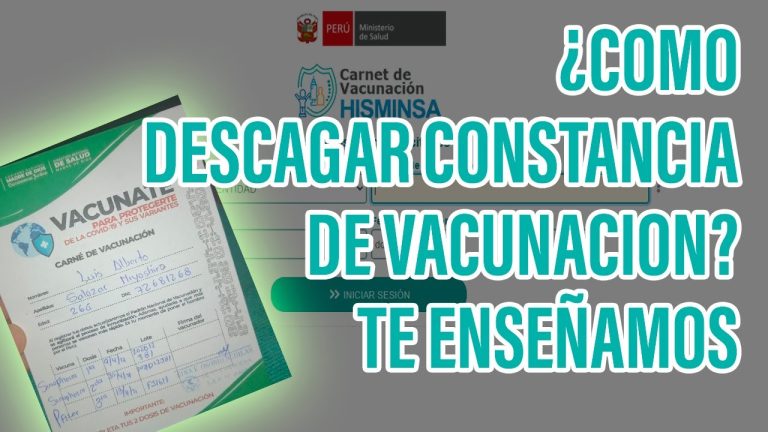 Consulta del Padrón en gis.minsa.gob.pe: Pasos detallados para realizar trámites en Perú