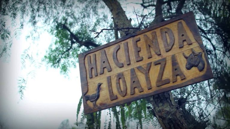 Todo lo que debes saber sobre los trámites en Hacienda Loayza en Perú: Guía completa