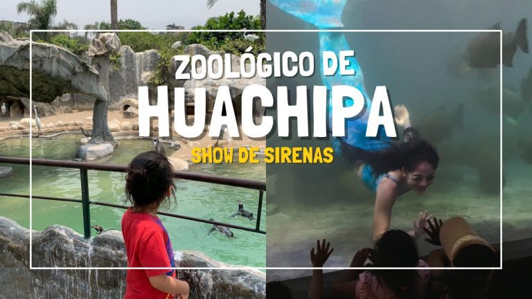 Guía completa para realizar trámites en Huachipa, Lima: Todo lo que necesitas saber