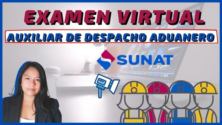 Todo lo que necesitas saber sobre el proceso de registro en la IATA Sunat en Perú