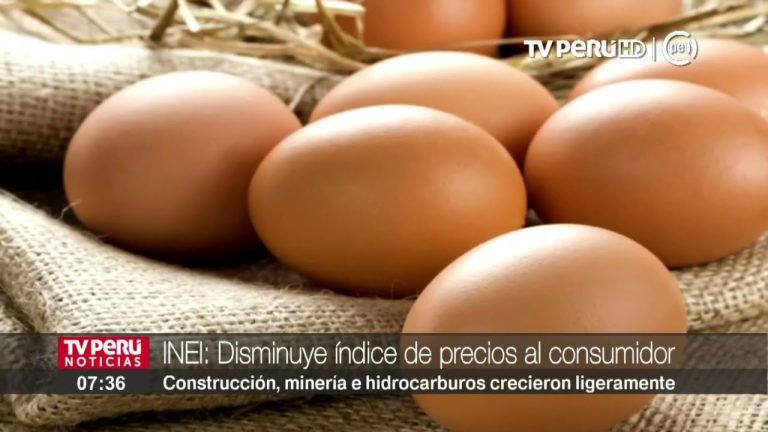 Guía completa sobre el Índice de Precios al Consumidor INEI en Perú: trámites y consejos