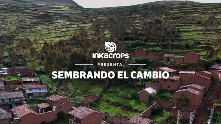 Todo sobre Inka Crops RUC: Trámites y requisitos en Perú