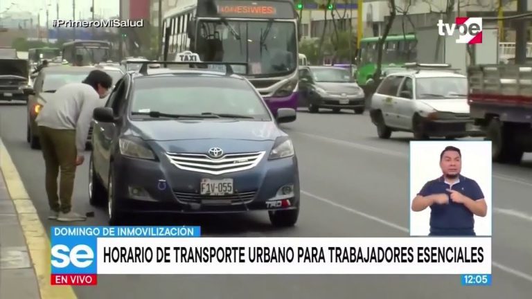 Inmovilización vehicular los domingos: ¿Qué hacer para evitar multas en Perú?