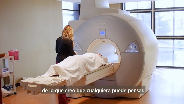 Todo lo que necesitas saber sobre el trámite de IRM en Perú: requisitos, plazos y pasos a seguir