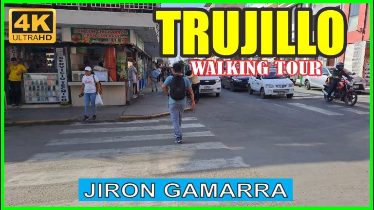 Todo lo que necesitas saber sobre el Jirón Gamarra: trámites, ubicación y más en Perú