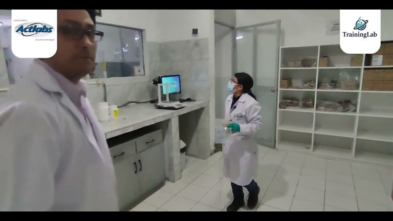 Descubre los Mejores Laboratorios de Análisis de Minerales en Lima: Guía para Trámites en Perú
