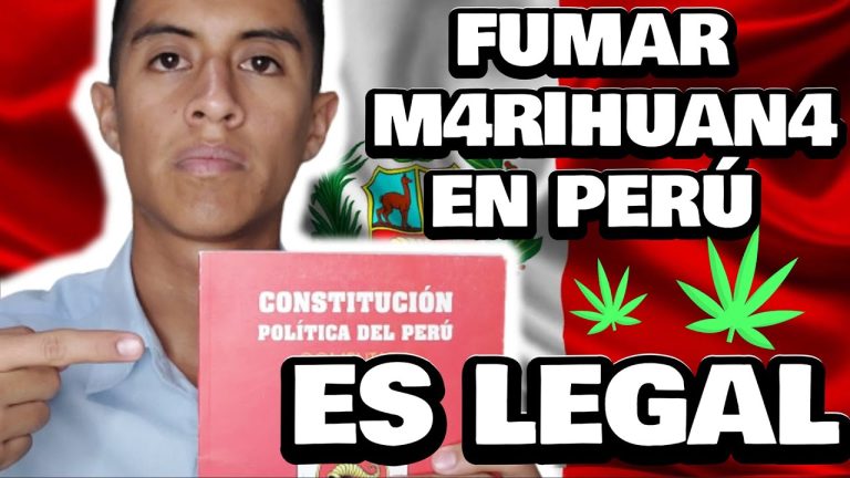Todo lo que necesitas saber sobre los trámites legales en Perú: guía completa