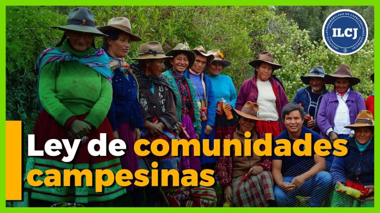 Todo lo que debes saber sobre la Ley General de las Comunidades Campesinas en Perú: Trámites y requisitos