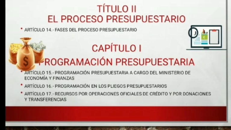 Guía completa de la Ley N° 28411: Todo lo que necesitas saber sobre la Ley General del Sistema Nacional de Presupuesto en Perú