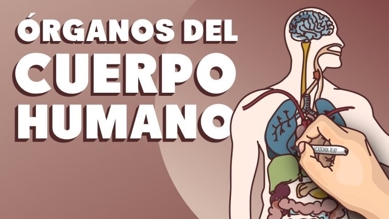 Descubre los Nombres y Funciones de los Órganos más Importantes en Perú: Guía Completa para Entender los Trámites