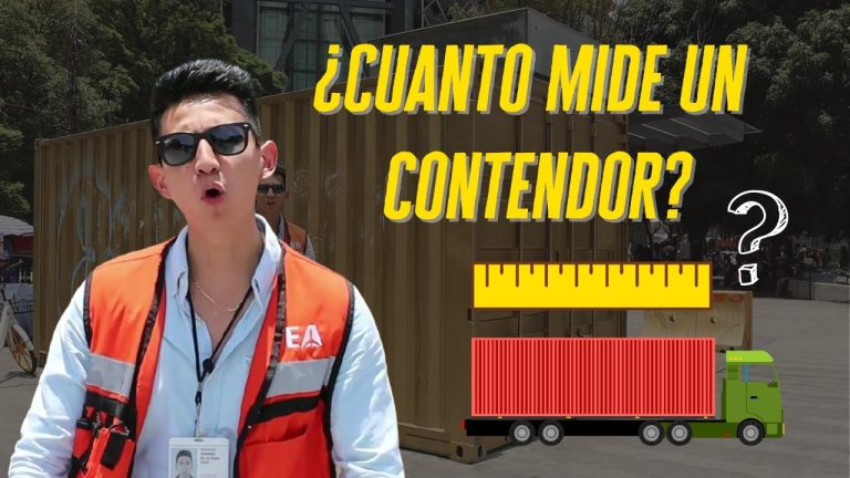 Todo lo que necesitas saber sobre las medidas del contenedor para tus trámites en Perú