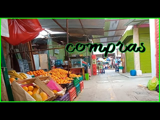 Todo lo que necesitas saber sobre el mercado Santo Domingo en Ica: trámites, horarios y ubicación