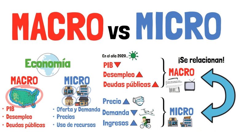 Guía completa de trámites para micro y macro empresas en Perú: Todo lo que necesitas saber