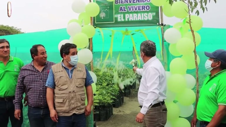Todo lo que necesitas saber sobre el Ministerio de Agricultura en Cajamarca: Trámites y Servicios en Perú