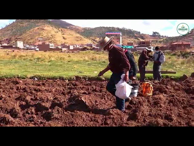Todo lo que necesitas saber sobre el Ministerio de Agricultura en Cusco: trámites y servicios en Perú