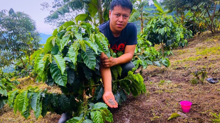 Descubre cómo obtener el molimax café de forma rápida y sencilla en Perú: Guía de trámites actualizada