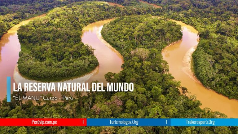 Descubre los trámites naturales en Perú: guía completa para gestionar tus documentos de manera ecológica