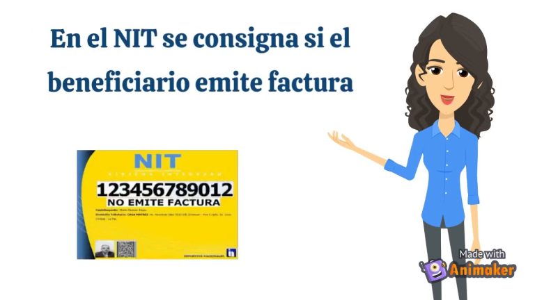 Todo lo que necesitas saber sobre el código NIT en Perú: trámites, requisitos y más