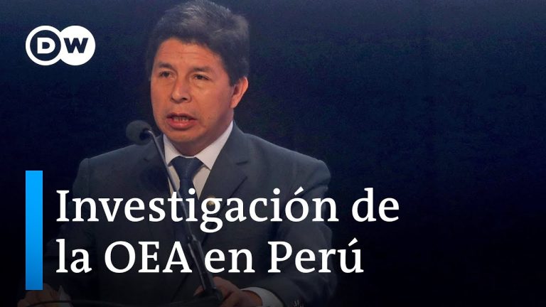 Todo lo que necesitas saber sobre la OEA en Perú: trámites y procedimientos explicados