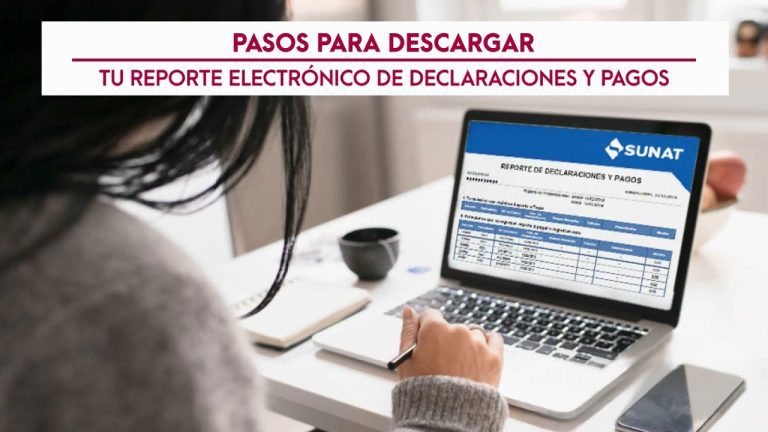 Guía completa: Cómo realizar el reporte de declaraciones y pagos SUNAT en Perú