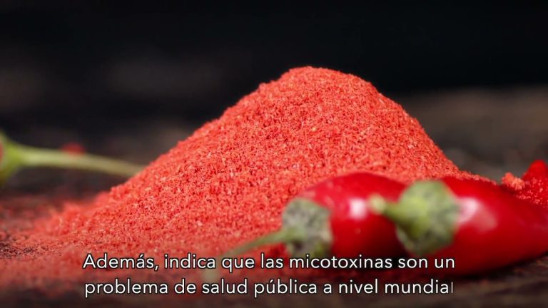 Todo lo que necesitas saber sobre el uso de paprika en Perú: trámites, usos y beneficios
